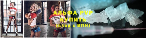 спайс Баксан