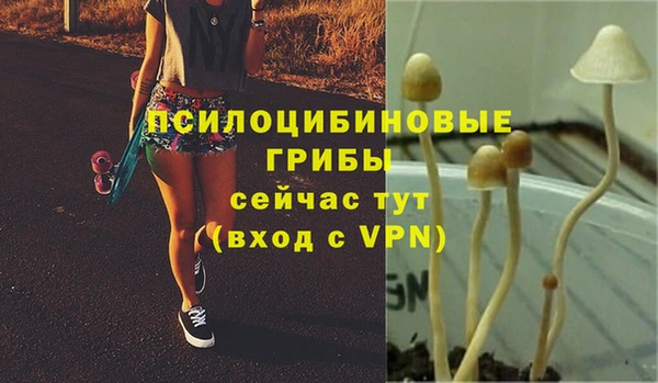 спайс Баксан