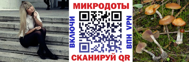 shop формула  Макушино  Галлюциногенные грибы Cubensis 